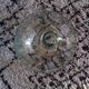 Transparent glass demijohn 15 L canister