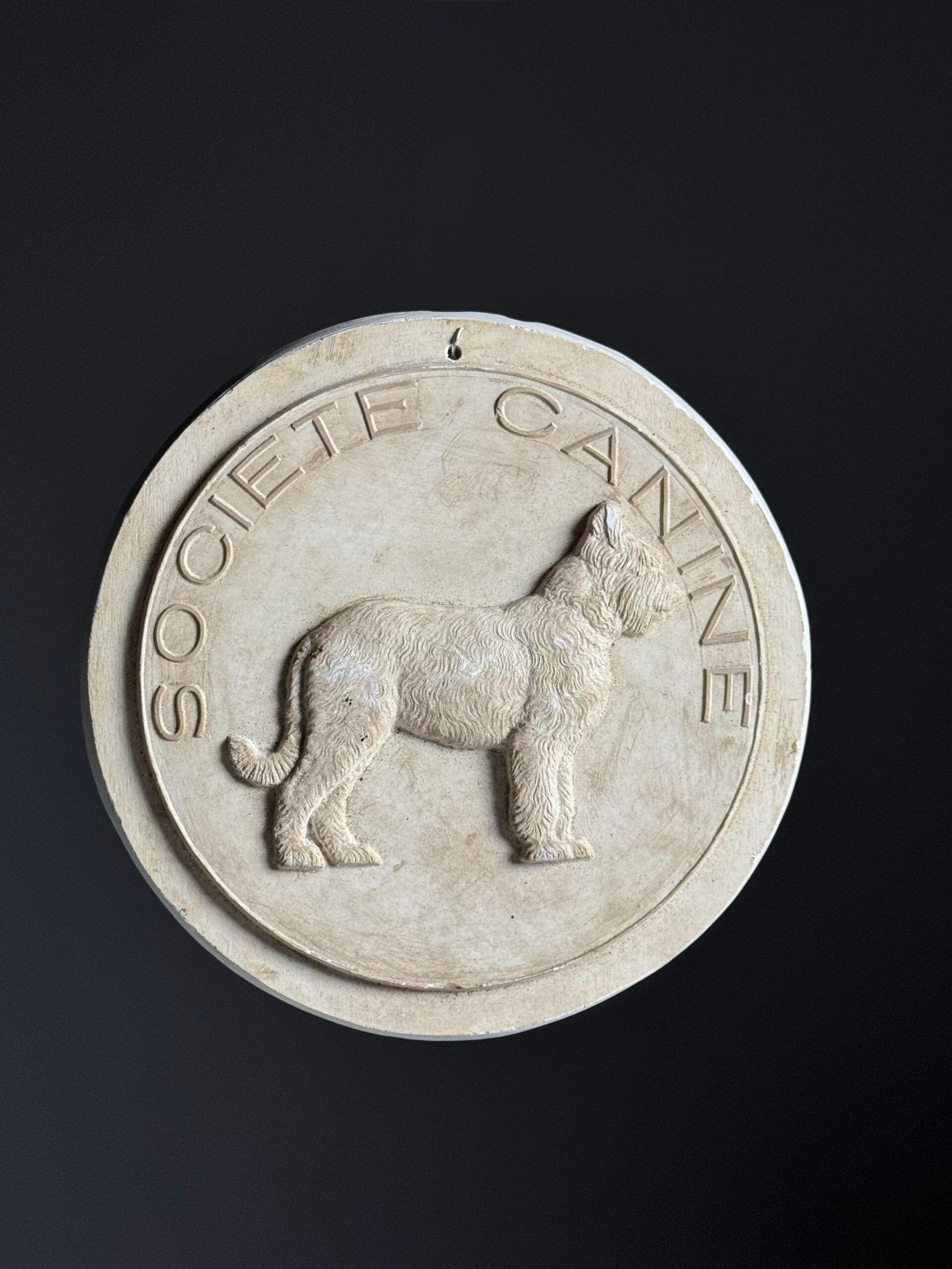 Plaster plaque "societe canine"
