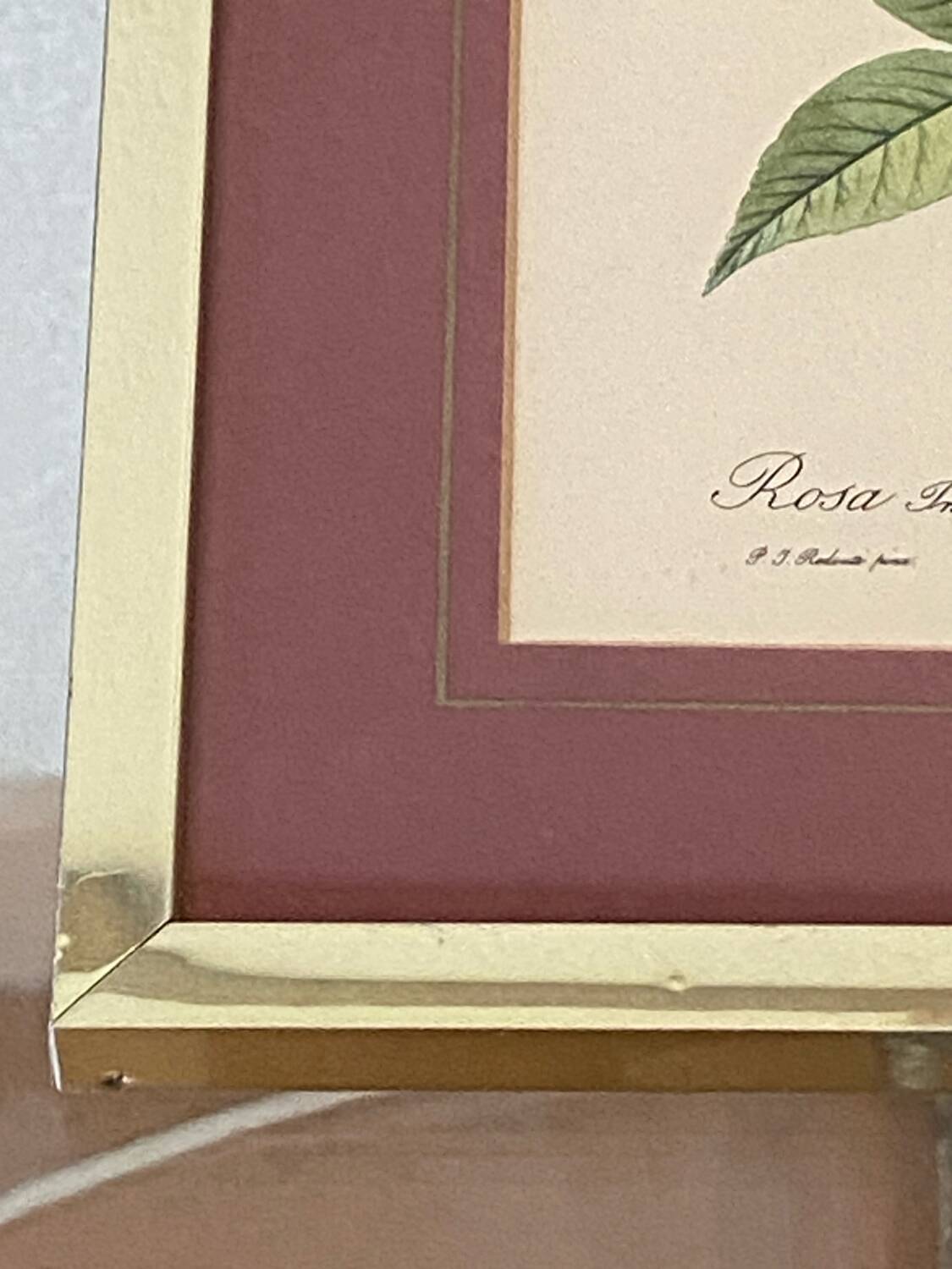 Botanical poster, P-J Redouté, brass frame