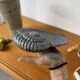 Shell-shaped ceramic catchall.