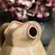 Vallauris ceramic pitcher, 1960s