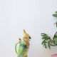 Parrot carafe in earthenware