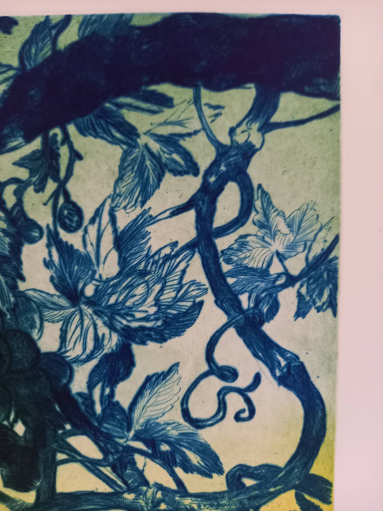 Original lithograph by Gérard Diaz (1938-2021), "the vine, the grape, the wine", 1999.