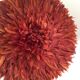 Juju hat rouille 50 cm