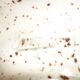 Plat feuille de chou