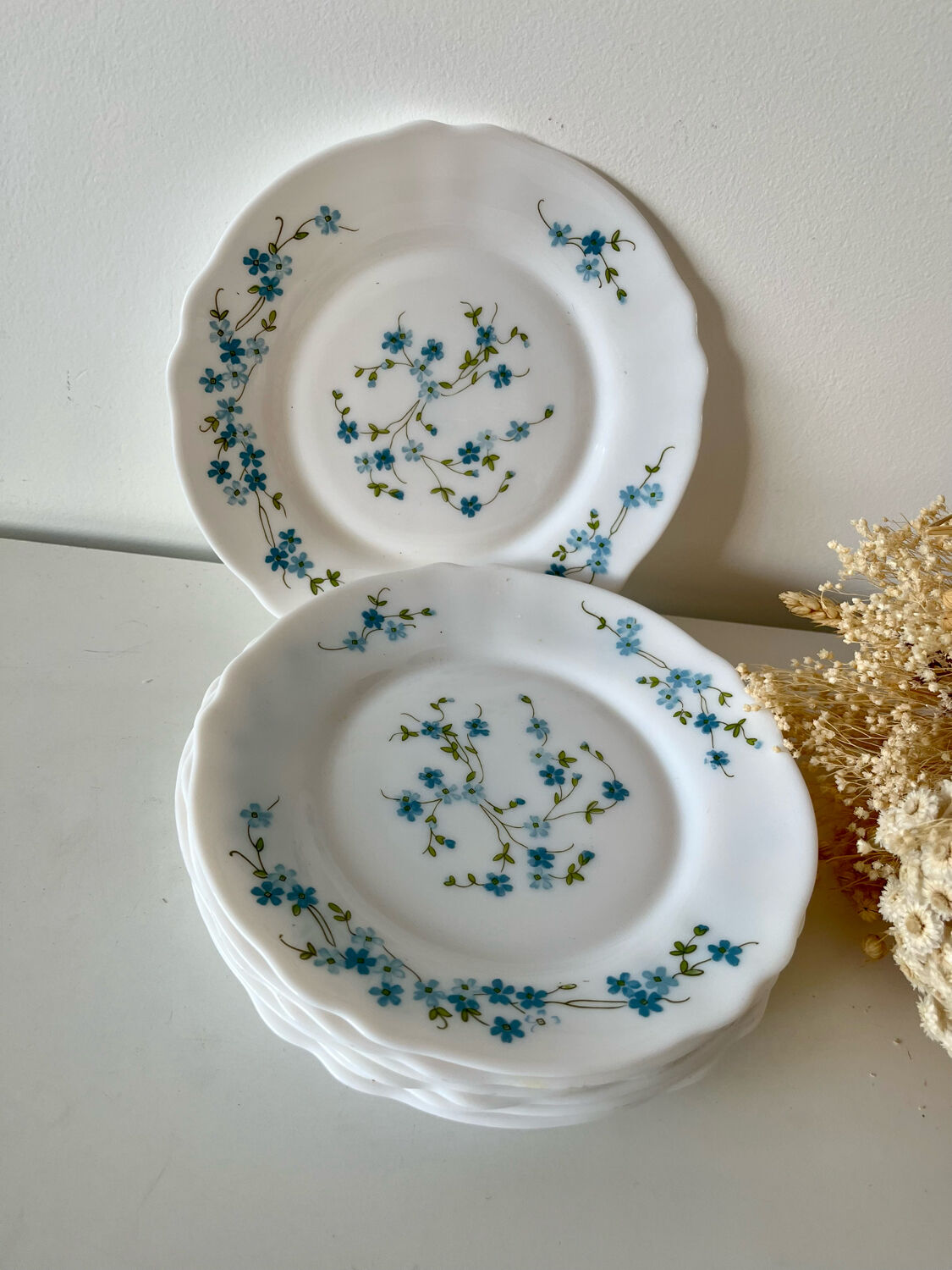 Myosotis dessert plates