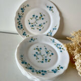Myosotis dessert plates