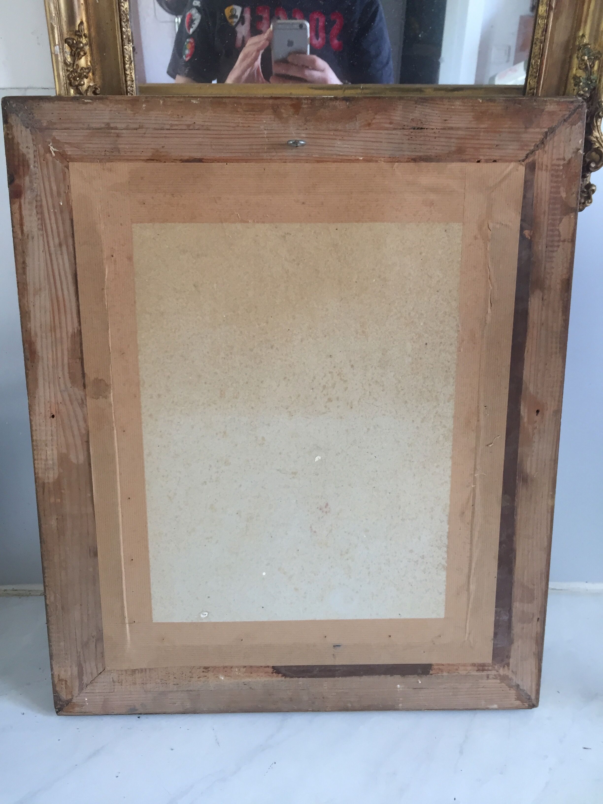 Mirror/Frame Barbizon/Wood&Stucco gilded with fine gold/XIXth