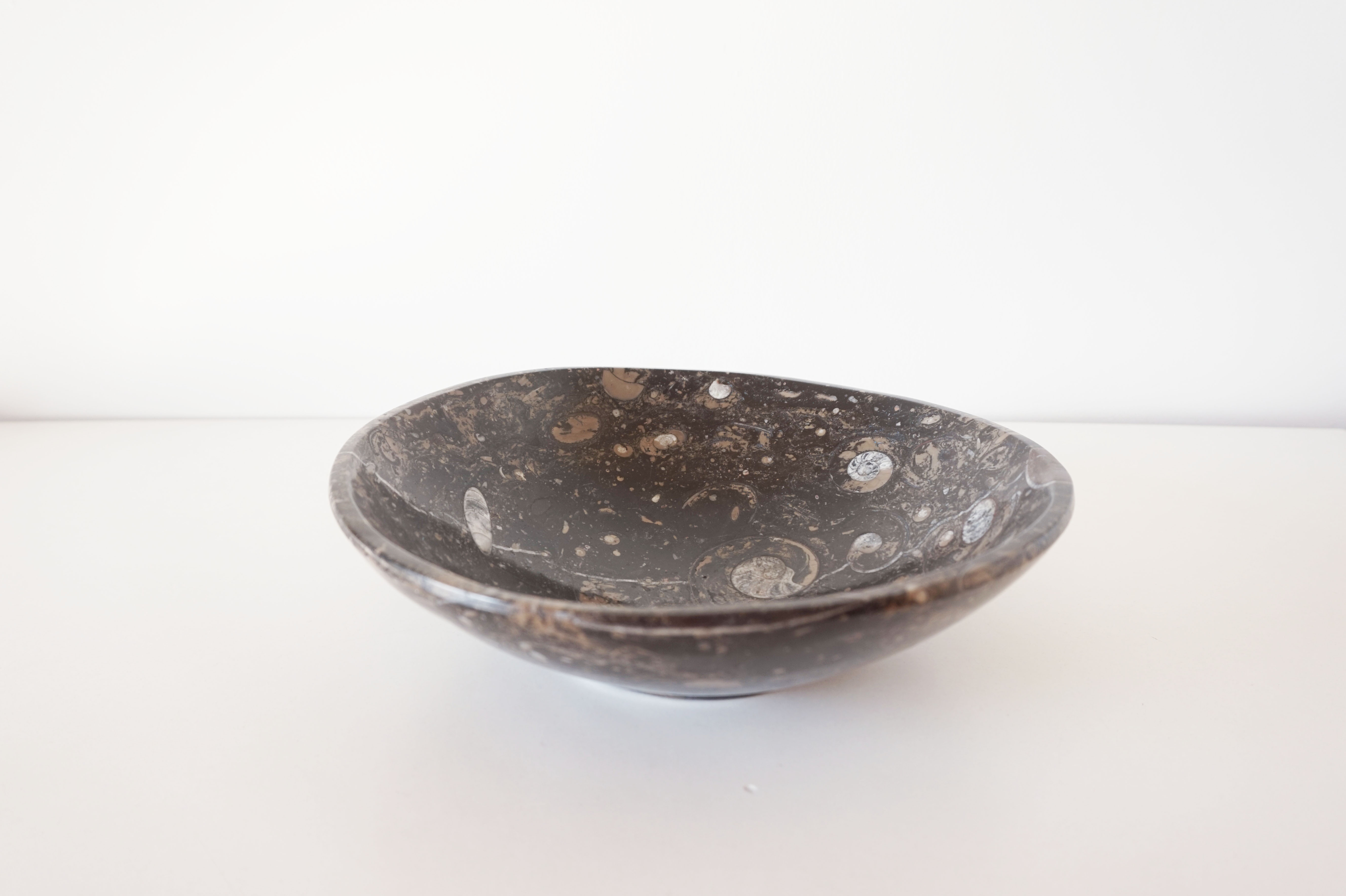 Empty pocket in fossilized black marble