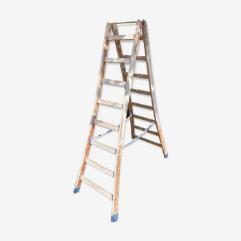 Double painter's ladder