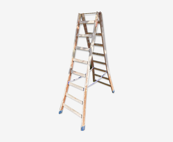 Double painter's ladder