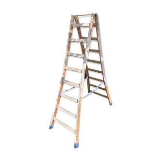 Double painter's ladder