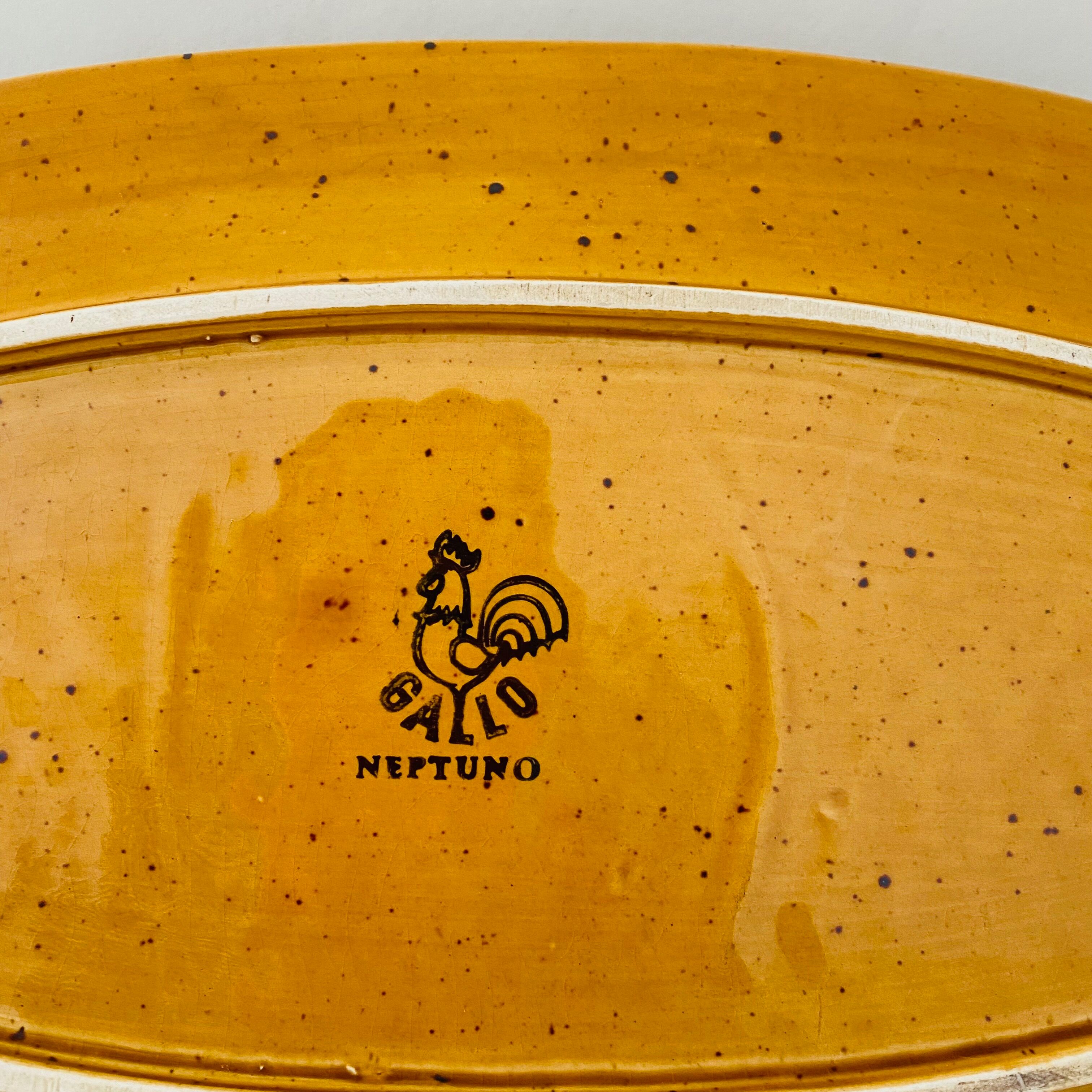 Fish plate Villeroy & Boch Gallo Neptuno