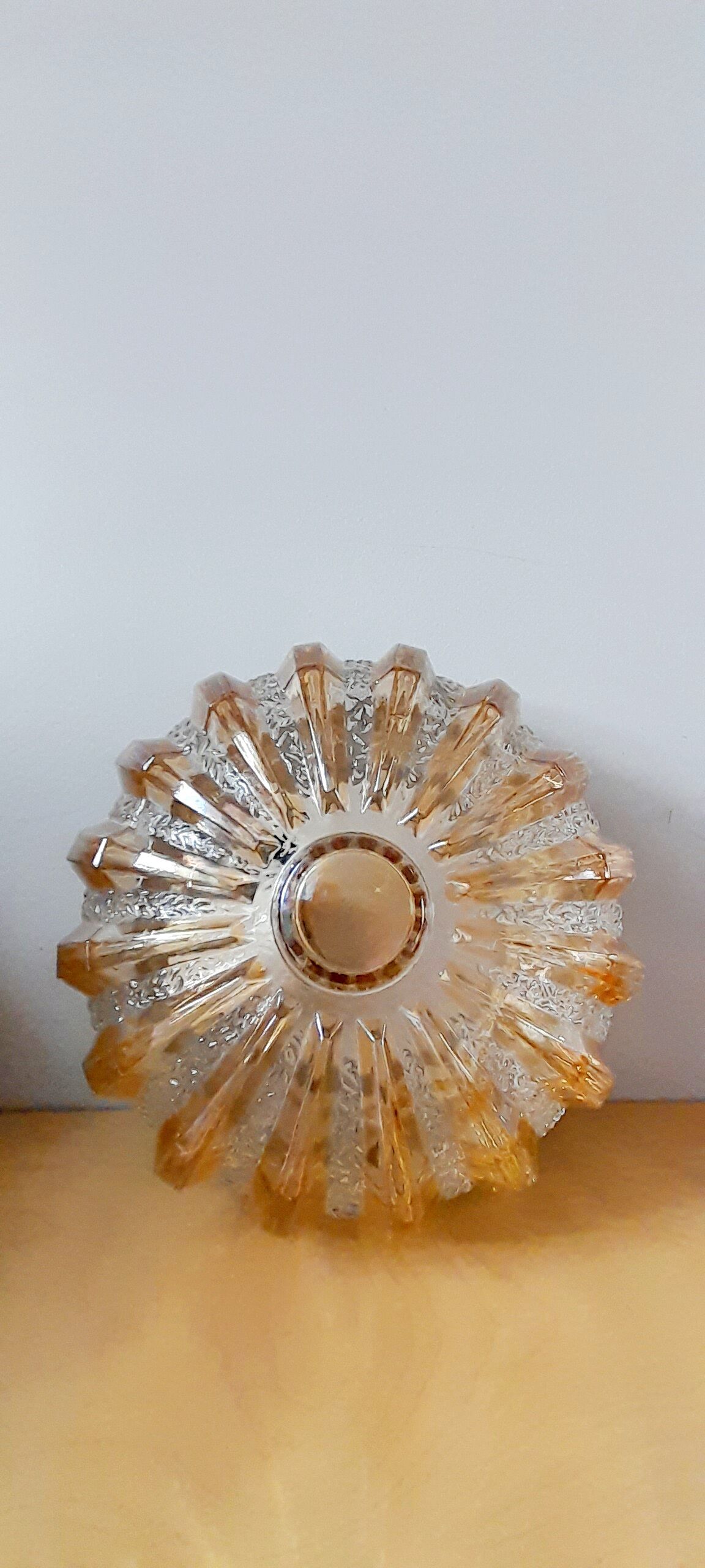 Round wall lamp jelly fish 60s.