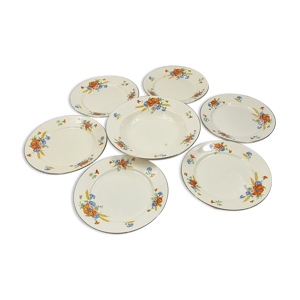 6 assiettes et 1 plate