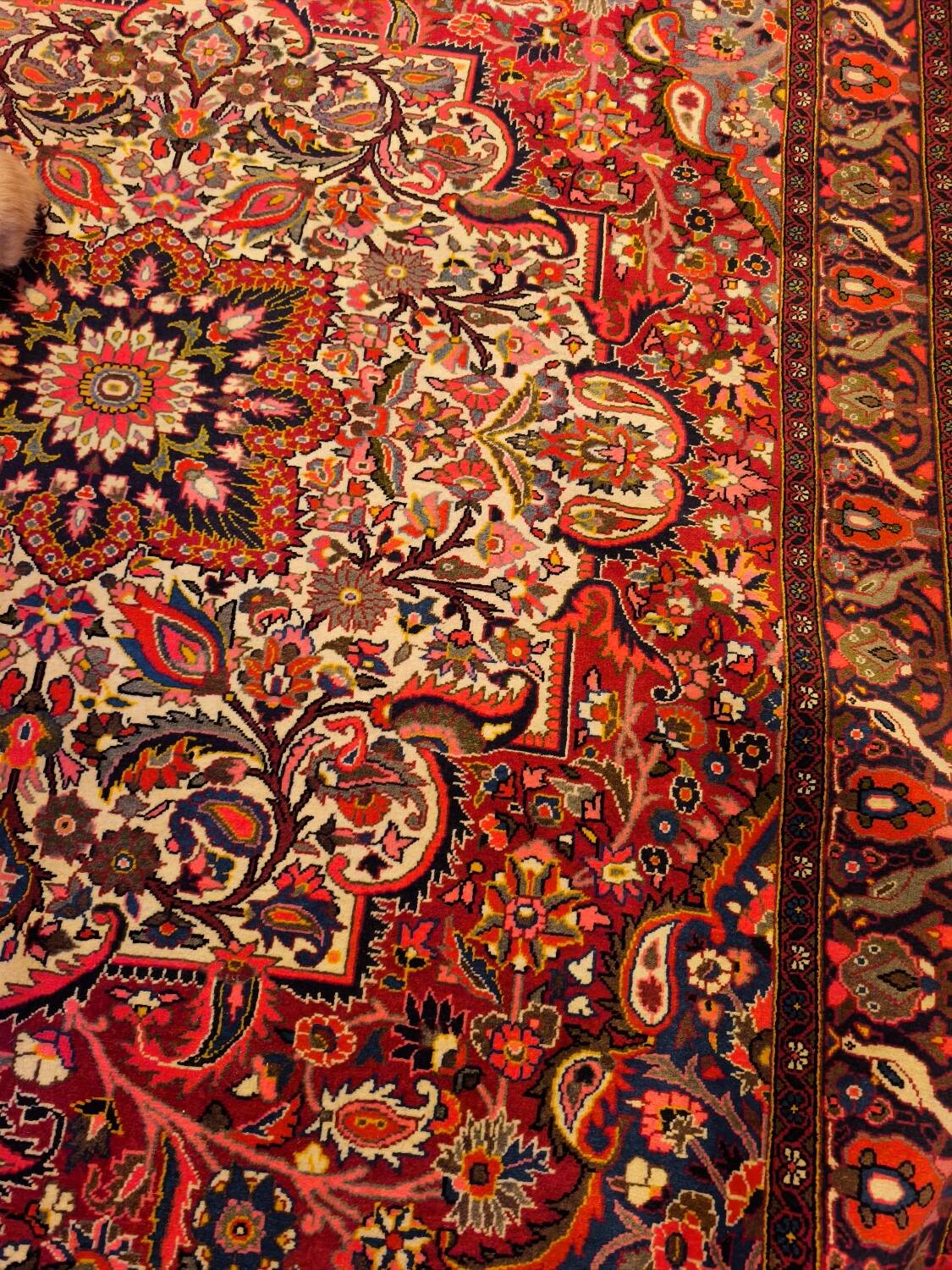 Hand-knotted Bakhtiari Persian carpet from Iran.