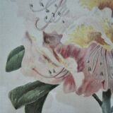 Trois planches botaniques encadrées orchidée rhododendron campanule médium vintage