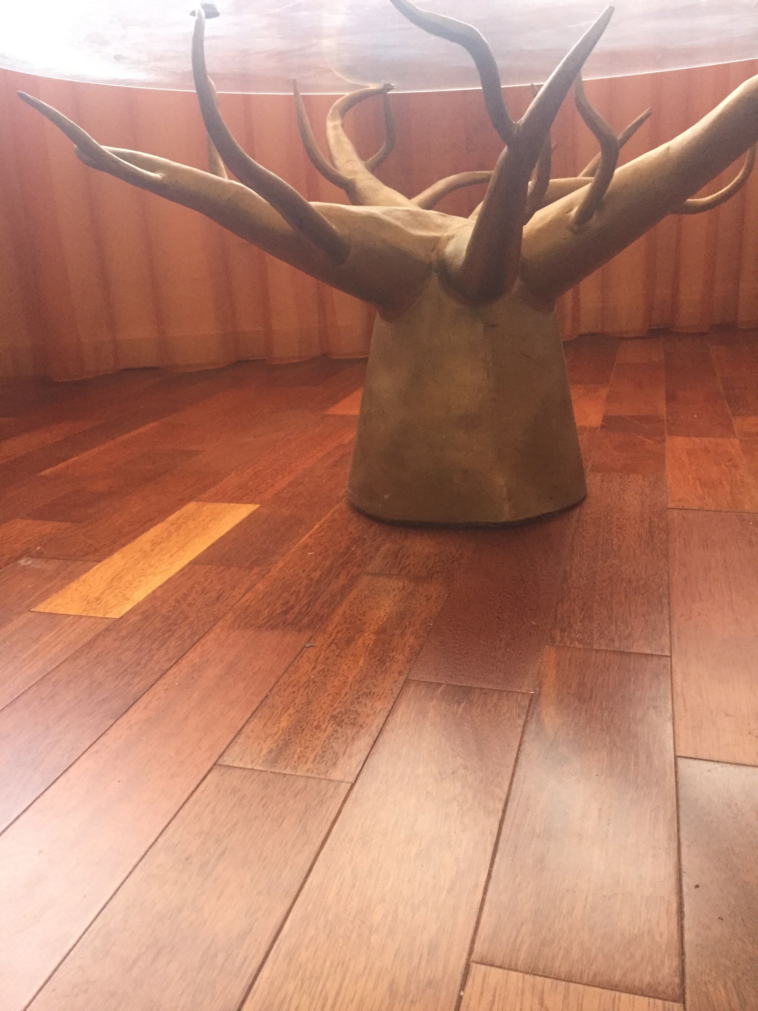 Coffee table glass foot baobab