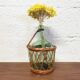 Demijohn wicker basket