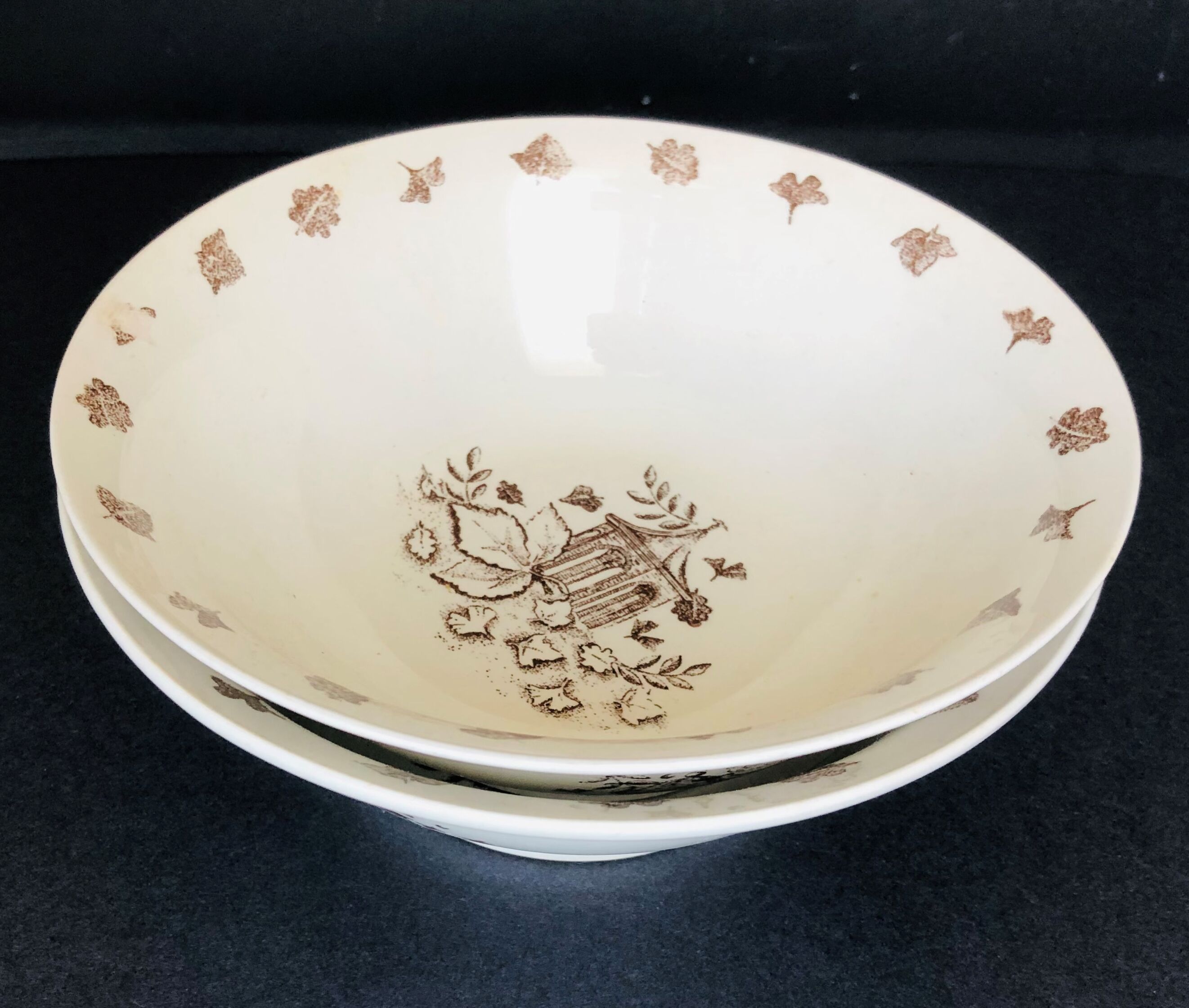 Pair of gien earthenware jattes