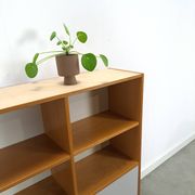 Deens Domino Mobler kast met klepdeur