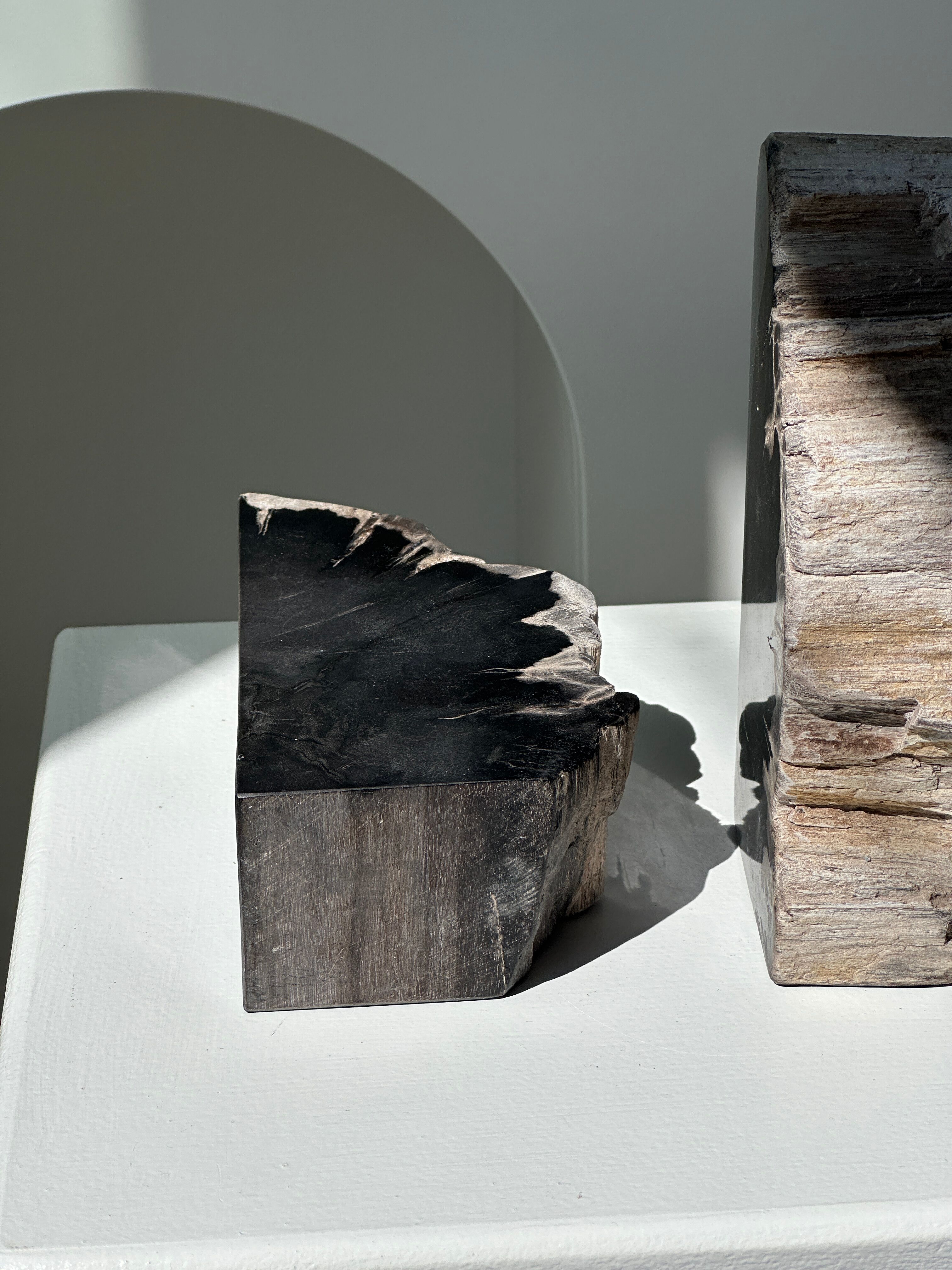 Black petrified wood bookend H17 L17 P6