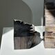 Black petrified wood bookend H17 L17 P6