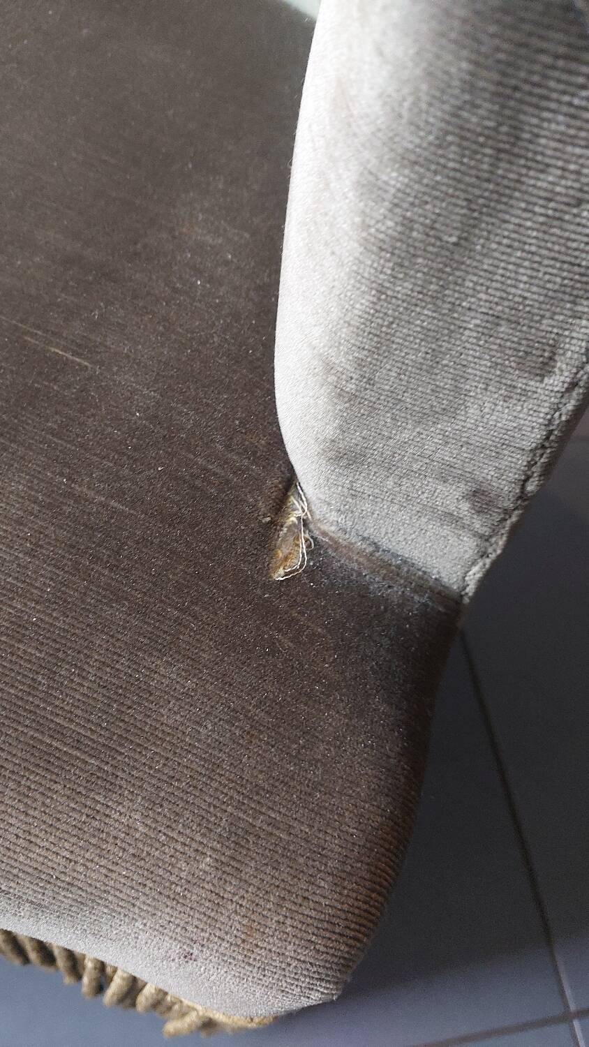Toad armchairs