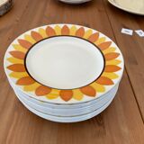 Flat plates model TOURNESOL DIGOIN