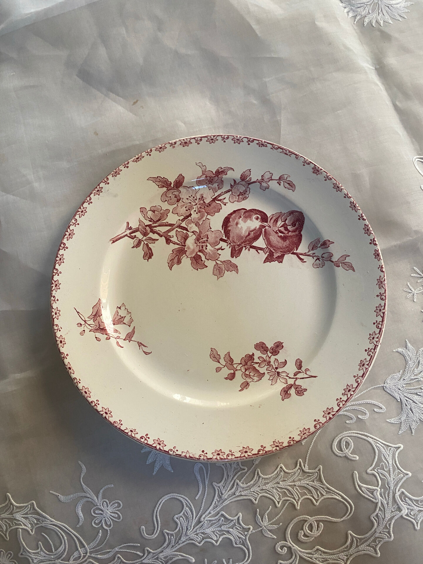 Flat plate model Favourite from Sarreguemines