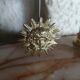 Pendule style Louis XVI
