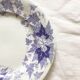 Set of 6 dessert plates Sarreguemines Bryonia Iron Land