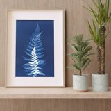 Original Cyanotype Print "LES FOUGERES" 21 x 30 cm with Frame