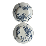 Two antique ironstone plates