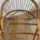 1950s rattan shell chair