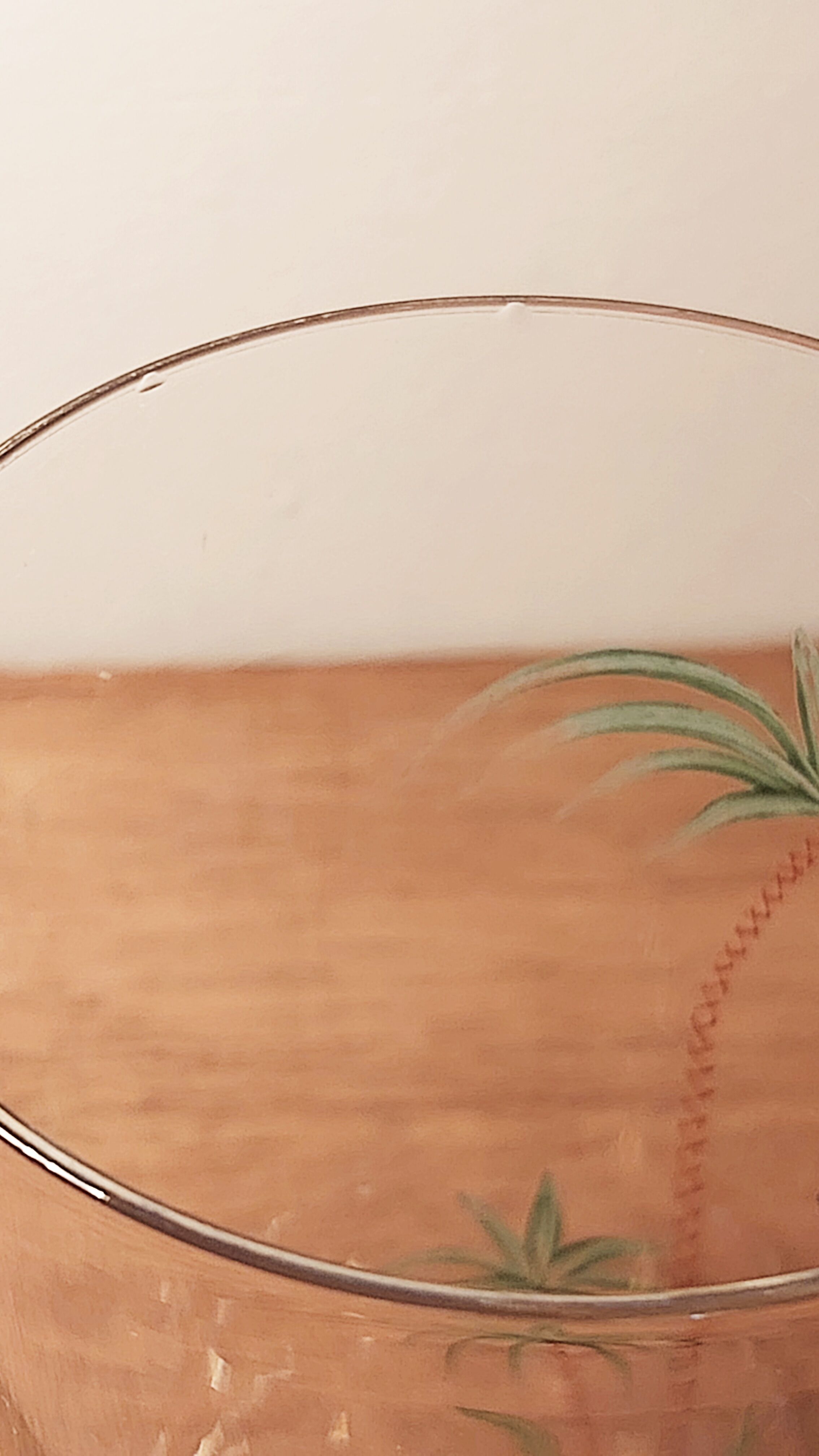 Set carafe and 4 crystal glasses Villeroy & Boch 1950