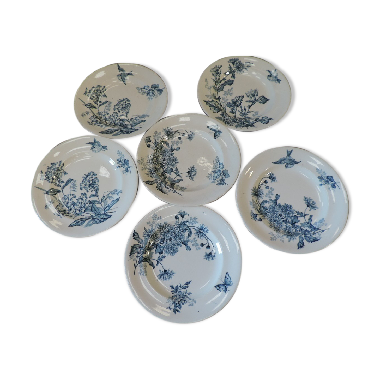 Lot of six plates 19th