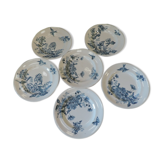 Lot of six plates 19th