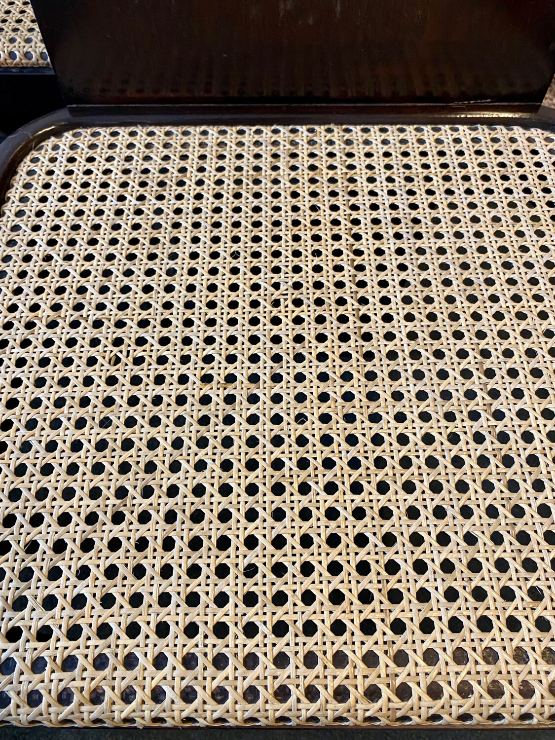 Set of 4 Pier Luigi chairs for Pozzi Milano 1970