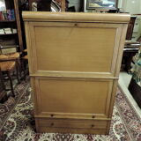 rabies furniture M D in oak 1970