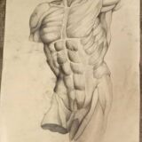 4 Quatre dessins académiques anatomiques du début du XXe siècle