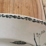 Old oval plate in iron earth