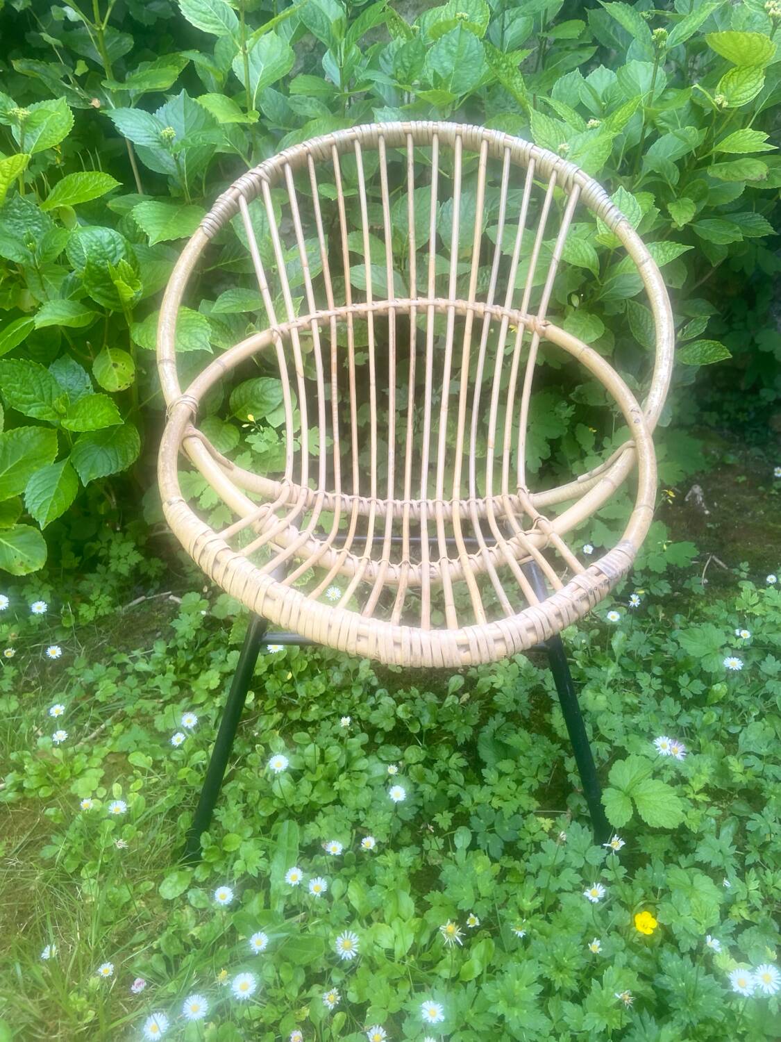 Fauteuil rotin - piétement acier noir - vintage