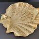 Coupe a fruits ceramique italienne 1960 poisson sous coquillage