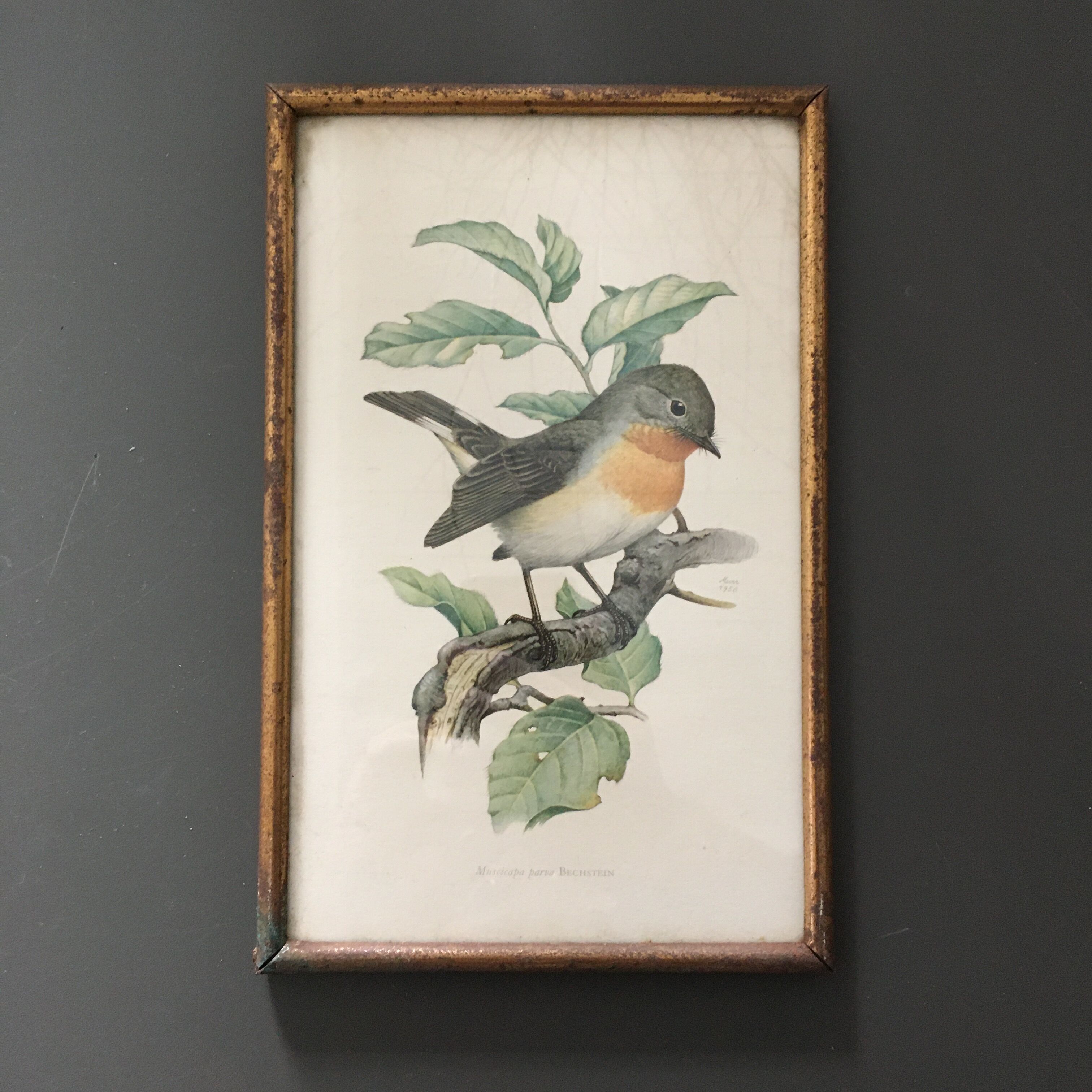 Illustration brass frame box