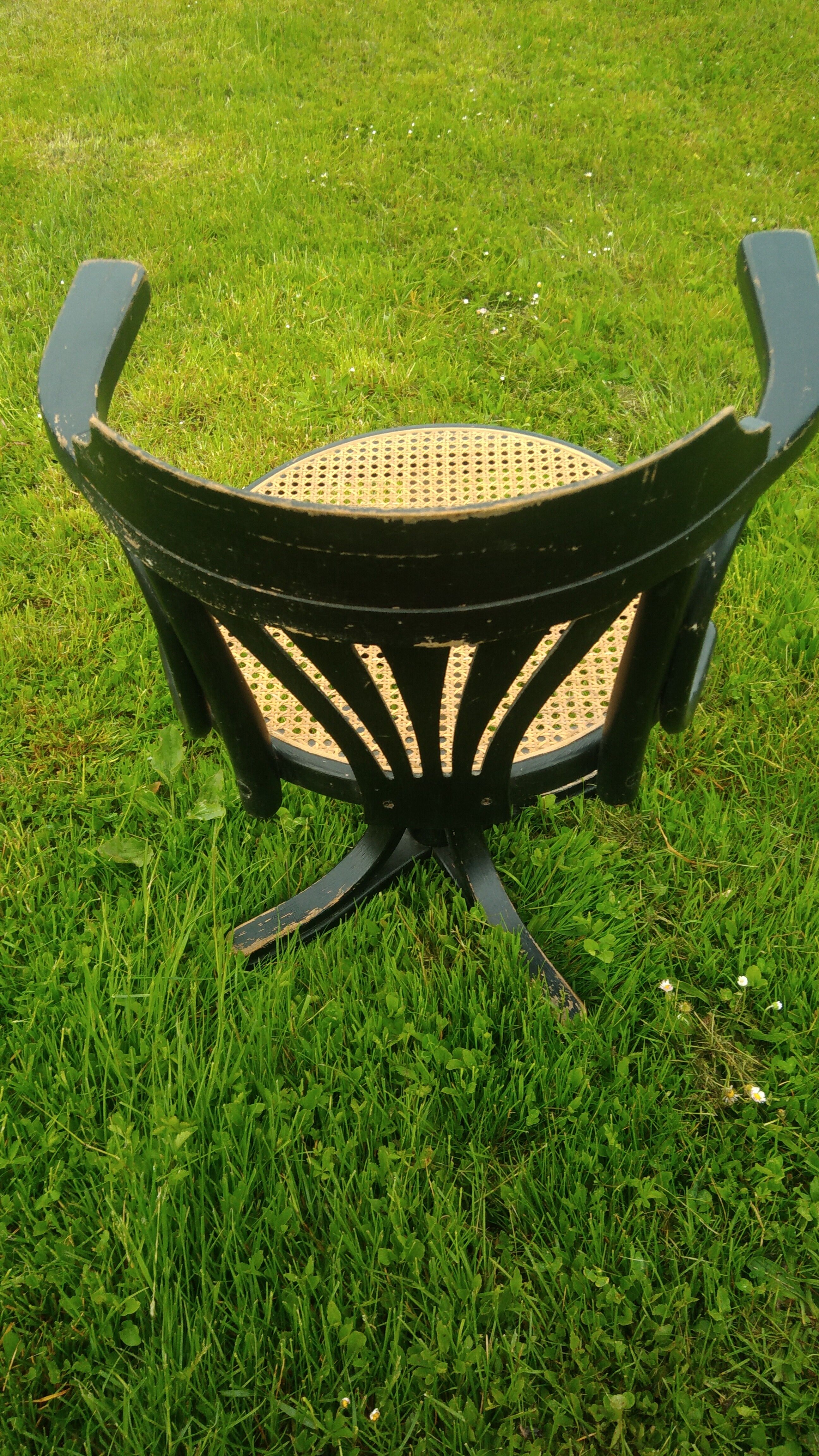 Swivel office armchair Thonet