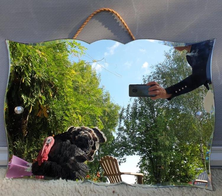 Mirror moustache Art Deco 1940 copper silver