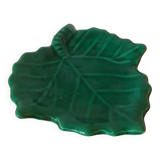 Empty vine leaf pocket Vallauris