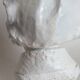 Beethoven bust in plaster