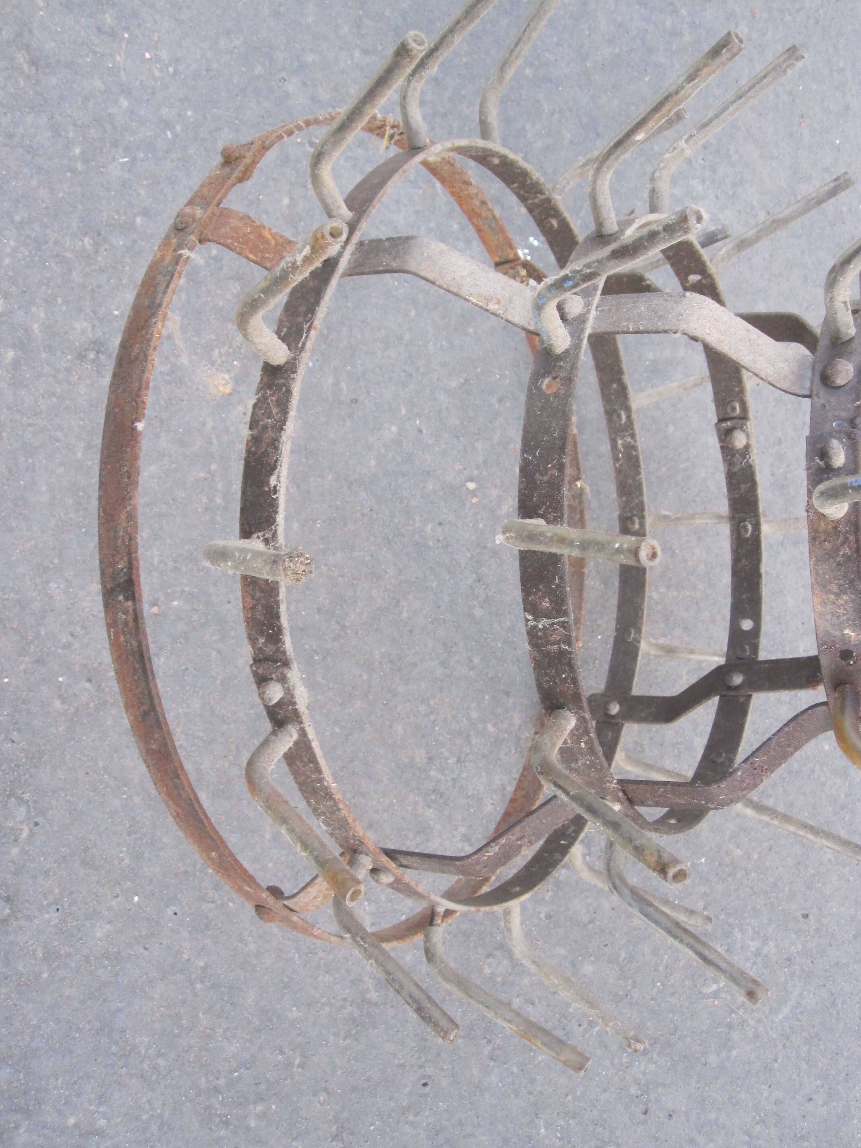 Bottle holder hedgehog